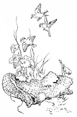 Пришвин Дедушкин валенок