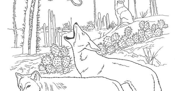 Кладовая солнца раскраска