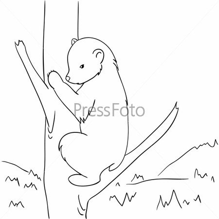 Нарисовать медведя на дереве