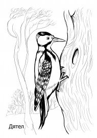 Пришвин Лесной доктор