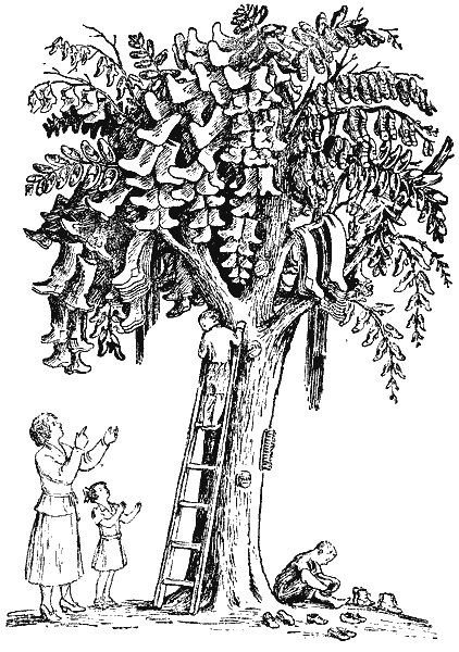 Чуковский корней "чудо-дерево"