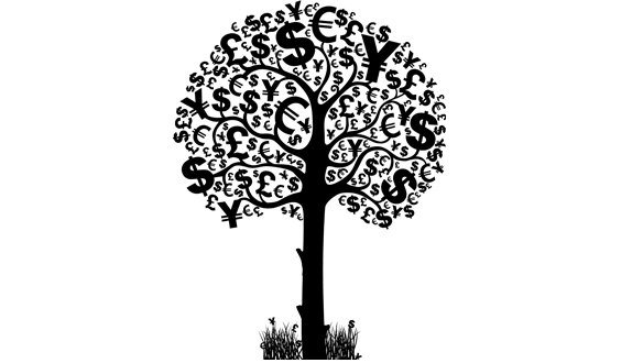 Денежное дерево черно белое