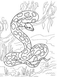 Раскраски змея на дереве (35 фото)