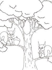 Белка на дереве раскраска