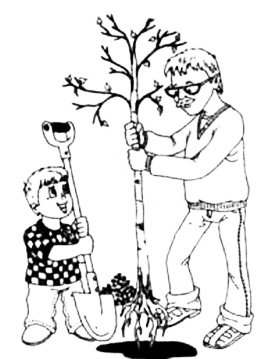 Раскраска посадка деревьев