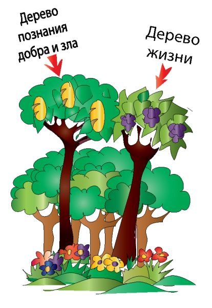 Раскраски дерево познания добра и зла (42 фото)