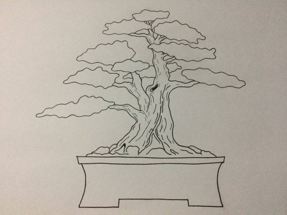 Дерево бонсай карандашом