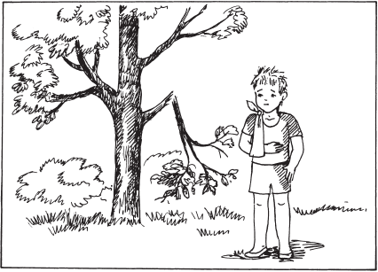Мальчик у сосны