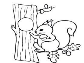 Бельчонок в дупле раскраска