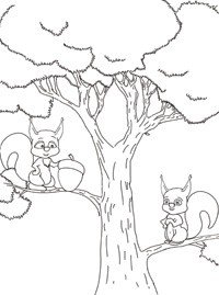 Раскраска Бельчонок на дереве