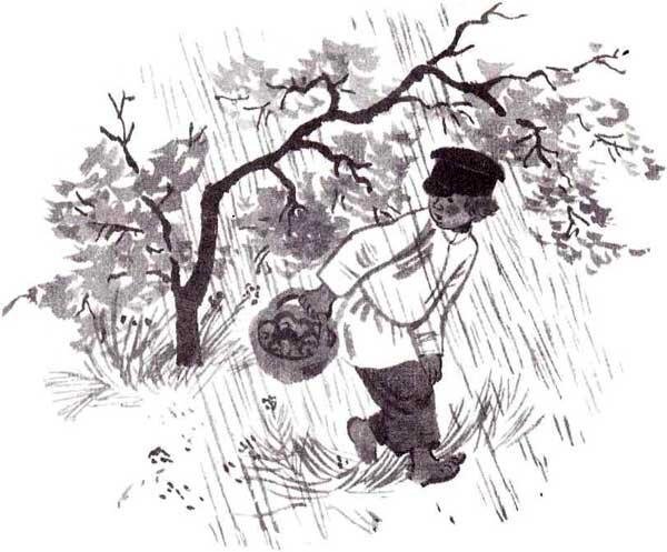 Гроза в лесу толстой