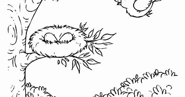 Птенец выпал из гнезда рисунок