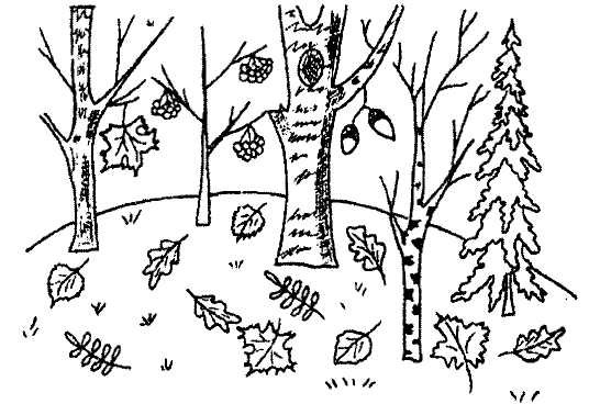 Задания для дошкольников осенний лес