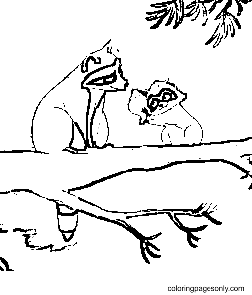 Раскраски енот на дереве (39 фото)