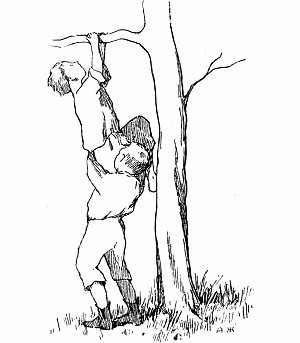 Иван Андреевич Крылов басня два мальчика