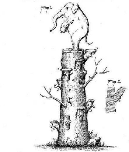 Задание залезть на дерево