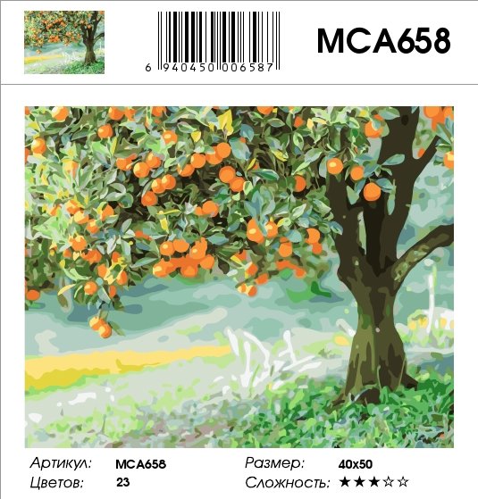 Апельсиновое дерево картина по номерам