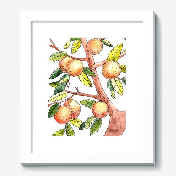 Раскраски апельсиновое дерево по номерам (42 фото)