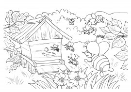 Раскраска улей для пчел