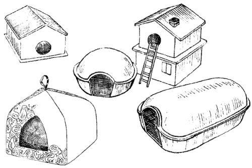Хомяк в домике раскраска
