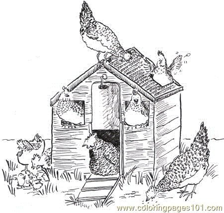 Птичник раскраска для детей