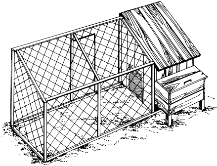 Чертеж курятника для бройлеров
