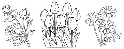 Раскраски клумбы в городе (35 фото)