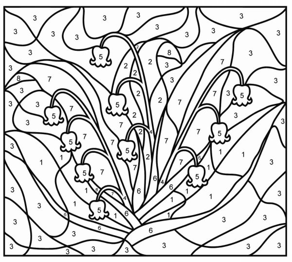 Раскраска по номерам цветы