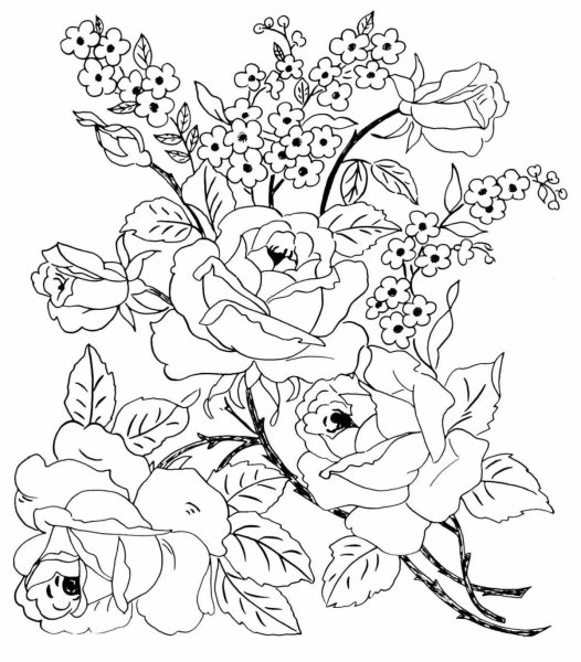 Раскраски цветы красивые
