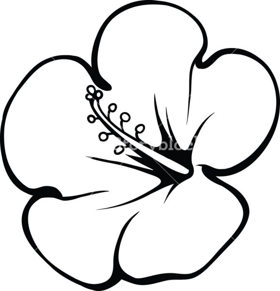 Трафарет тропических цветов