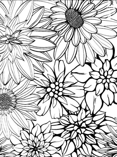 Разукрашки антистресс цветы
