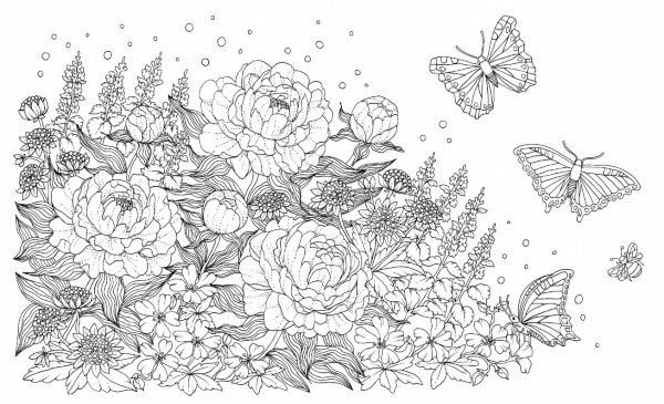 Раскраска цветы сложные