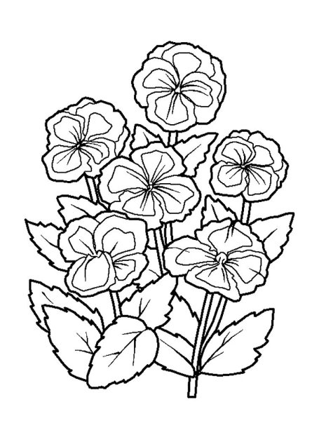 Цветы для разукрашивания