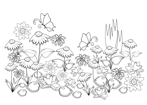 Раскраска цветы на клумбе