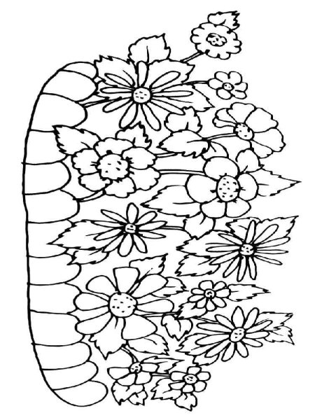Раскраска цветы на клумбе