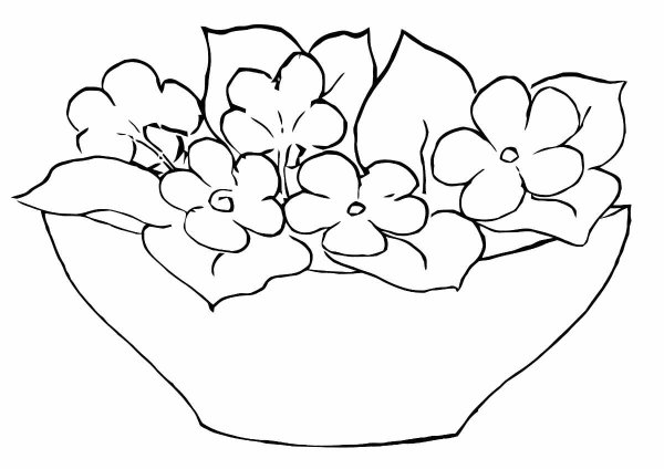 Клумба цветов раскраска