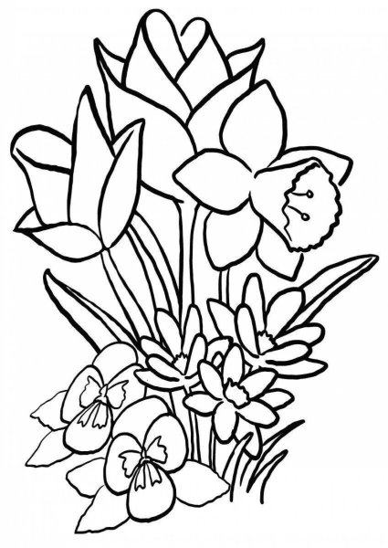 Цветы на клумбе раскраска для детей