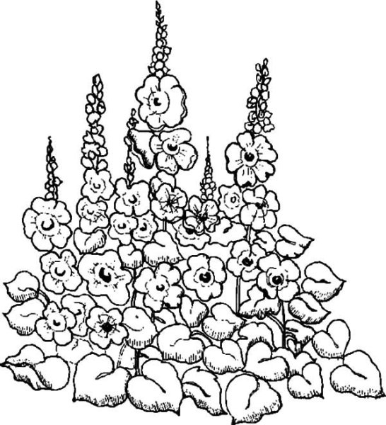 Клумба с цветами карандашом