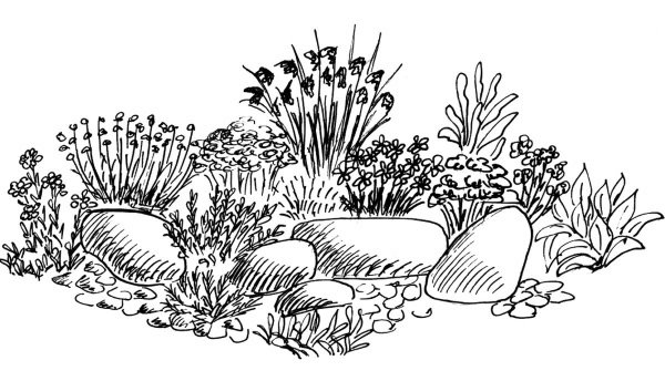 Эскиз альпийской горки