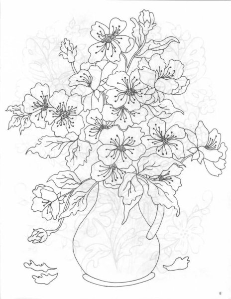 Натюрморт цветы раскраска