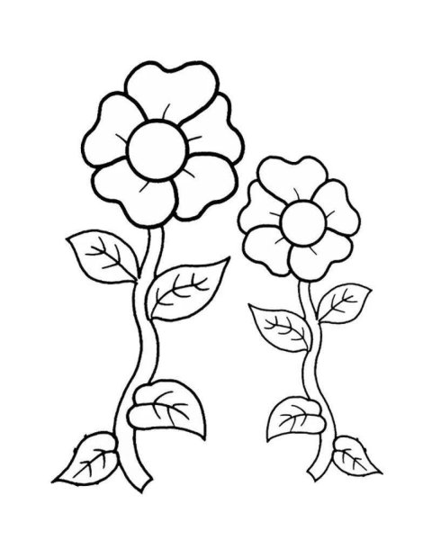 Раскраска цветочек