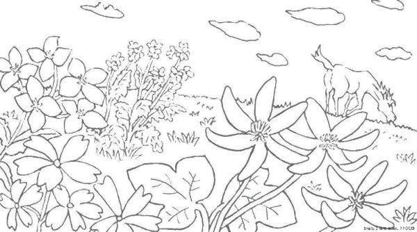 Цветочная Поляна раскраска