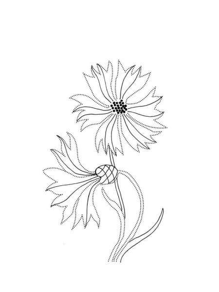 Василек раскраска