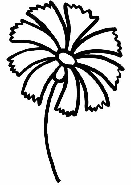 Раскраска Василек цветок