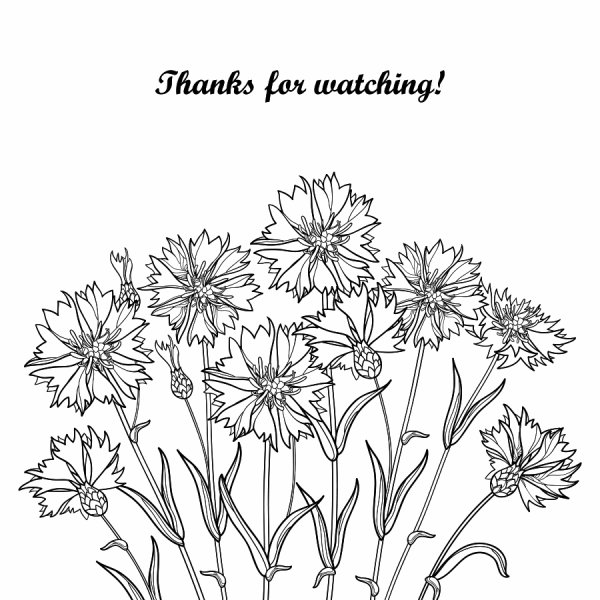 Васильки раскраска