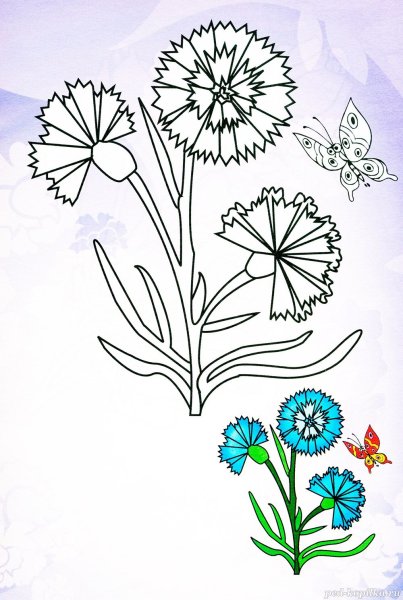 Ромашка одуванчик Василек гвоздика