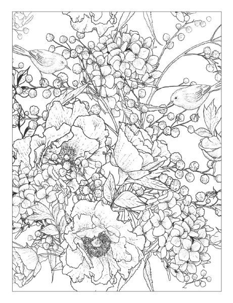 Картины для раскрашивания для взрослых