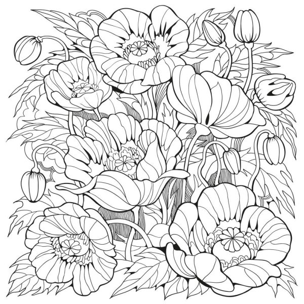 Раскраска антистресс "цветы"