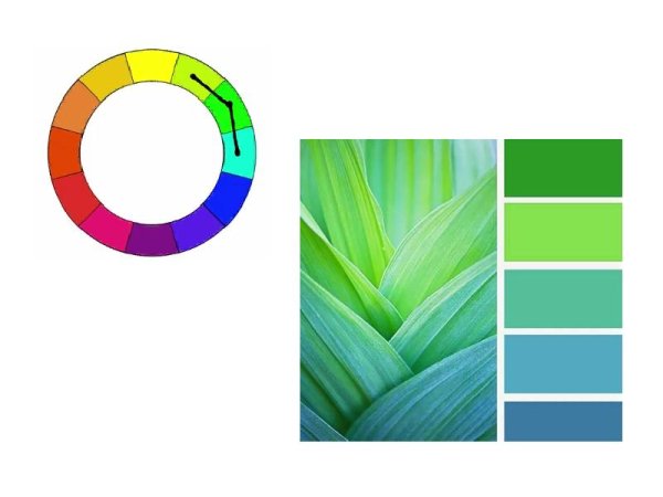 Цветовые гармонии