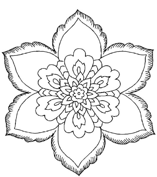 Раскраска антистресс "цветы"